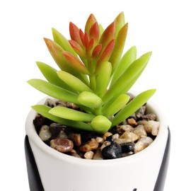 Hanna Roberts Artificial Faux Plant in Dog Puppy Style White Planter with Rocks