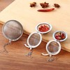 Tea Infuser, 304 Stainless Steel Mesh Tea Infuser Filter Tea