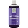 Shampoo Matizador Con Extractos Naturales 500 Ml Productos Mart Mexico
