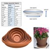 Bloem Terra Plant Saucer Tray for Planters 9-12" Chocolate Brown