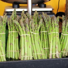 MySeeds.Co Asparagus UC-157 F2 (Asparagus officinalis) Vegetable Seeds, High Yields - 4 Grams (~ 75 Seeds)