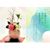 Sweet November 5D Birthday Present for Women, Popular, Cute Japanese