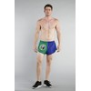 BOA Mens 1" Elite Split Printed Running Short (1000CP)(Washington, Medium)