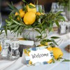 JESTAR 48Pcs Capri Lemon Place Cards Name Cards for Table