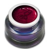 Colour Gel Metallic Rouge Red UV LED Nail Gel Studio