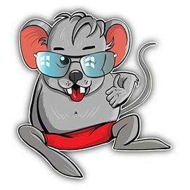 JJH Inc Magnet Funny Mouse Sunglasses Flexible Vinyl Magnet Waterproof Car Magnetic Bumper Sticker 5"