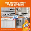 Lysol All Purpose Cleaner Spray, Multi-Purpose Disinfecting Spray, Kitchen &