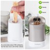 TRTRin Toothpick Dispenser-With Bamboo Wooden Toothpicks [600 Count], Pop-Up Automatic