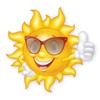 iSecur Adesivo sorriso sole occhiali 21 cm resistente ai raggi