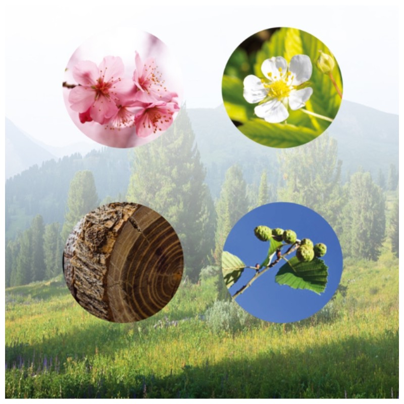 DR.OREGONIN Taxifolin Hair Loss Treatment 550ml