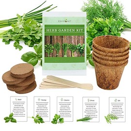 Environet Herb Garden Kit - Seed Starter Kit for Indoor Herb Gardening. Grow 5 Popular Herbs- Basil,Parsley,Cilantro,Chives,Dill. Ideal for Beginners & Gardening Gifts