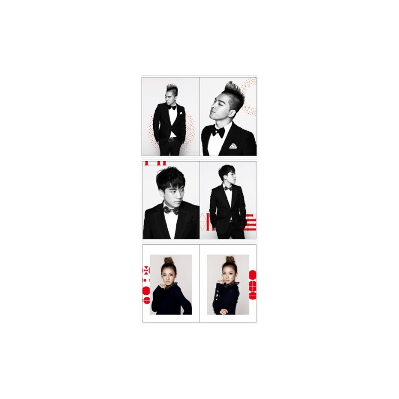 15TH Anniv.YG Family Concert Photo Book ☆ コンサートフォトブック