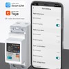 Aswalling Tuya Smart Circuit Breaker 2P 63A Remote Control of