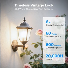 GvvooHome Dimmable LED Edison Bulbs, 4000K Daylight White, 6W Equivalent to 60 watt E26 LED Bulb, ST58 Vintage Light Bulbs, 600LM, 90+ CRI, E26 Base, Clear Glass, 10 Pack