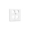 Central Panel TV + LAN 50 x 50 mm RW