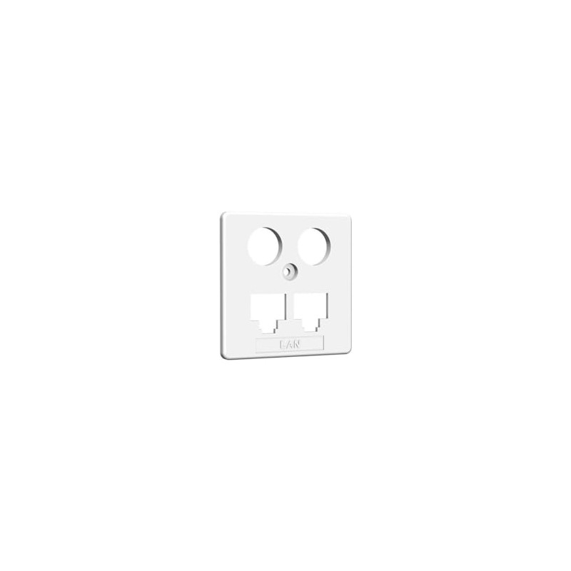 Central Panel TV + LAN 50 x 50 mm RW