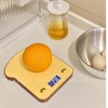 Food Scale High Accuracy Digital Weight Grams Portable Small Electronic