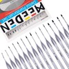 MEEDEN Micro Detail Paint Brush Set,15 Tiny Professional Miniature Fine