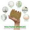 AIRNEX Natural Kitchen Sponges (12 Pack) - Biodegradable Cellulose &