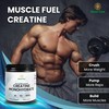 Blend Core Blend Core Creatine Monohydrate - Pure & Micronized