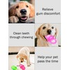Fayelume 2PCS Dog Pacifier, 8 * 5cm/3.1 * 2in Puppy