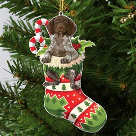 German Shorthaired Pointer Christmas Flat Acrylic Ornament – Festive GSP Dog in Stocking, Holiday Tree Decoration for Pet Lovers - Adorable Dog Dressed As A Sock - 2024 German Shorthaired Dog Ornament