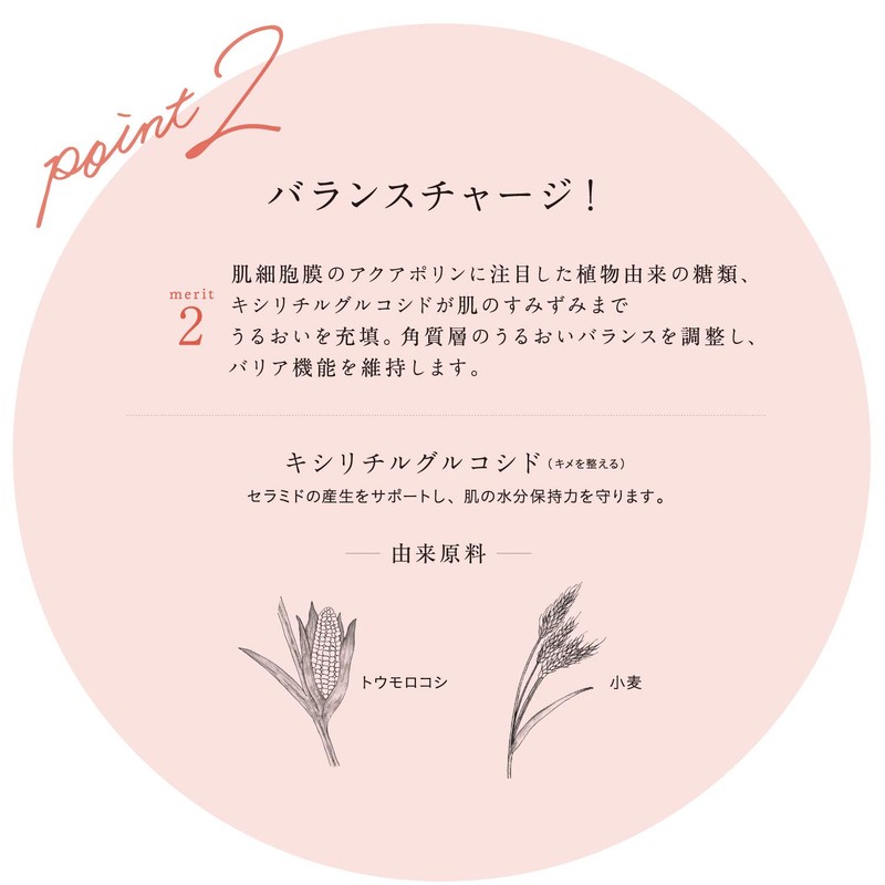 Chantor Charm Moist Charge Essence, 1.0 fl oz (30 ml),