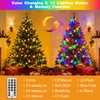 btfarm Color Changing Christmas Lights Outdoor Remote,Warm White-Multicolor