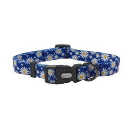 Ovale Dog Collar and Leash Combo Set, Daisy Floral Pattern, Collar and 5 ft Matching Leash, for Small Dogs.(S, Blue Daisy)