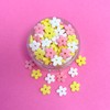 Honeyberry HONEYBERRY INCLUSIONS Mixed Flowers Sprinkles 200g - Premium Edible