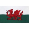 Red and White Fire Dragon Battle Flag
