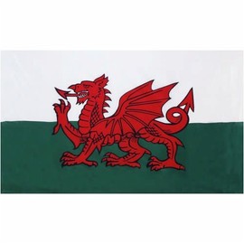 Red and White Fire Dragon Battle Flag