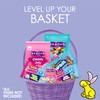 Big Chewy NERDS Jelly Beans | Assorted Candy Flavors of