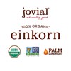 Jovial Organic Sourdough Einkorn Everything Crackers - Sourdough Crackers for