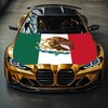 Mexican Flag Car Hood Cover 4X5 Ft Polyester Car Bonnet