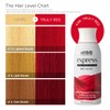 Kiss: Express Semi Permanent Hair Color - Truly Red K48-Truly