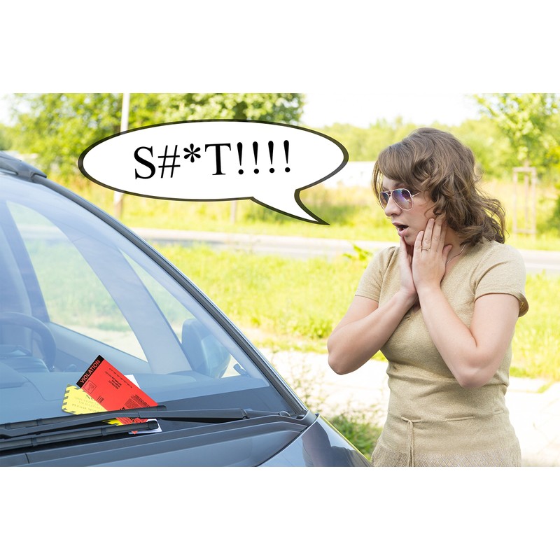 Fake Parking Tickets-set of 100