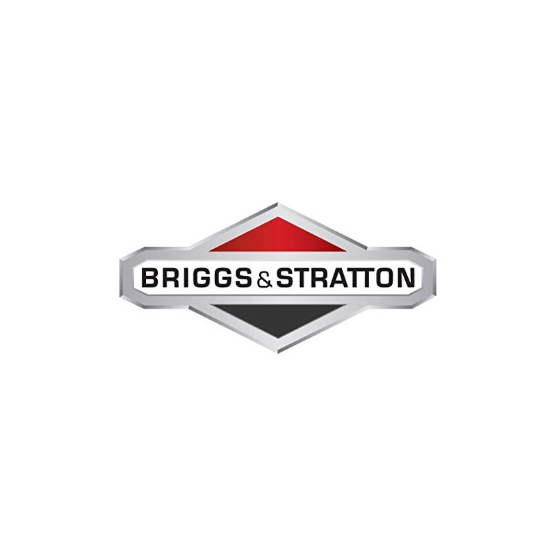 Briggs & Stratton 2-Cycle Easy Mix Motor Oil - 16