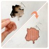 Cozlly 9 m x 12.7 cm Copper Net Against Snails,
