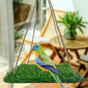 FORZENA Bird Toys Hammock Swing Hanging Bed Portable Grass Pad