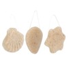 3pcs Walnut Powder Exfoliating Facial Sponge Soft Skin Cleansing Konjac