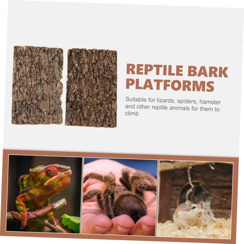 Garneck Cork Bark Back Panel for Terrarium, 30 x 20