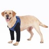 dog sleeves for wounds both front legs，Cone Collar Alternative, Abrasion