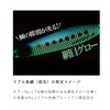 Hayabusa Jackeye Makipita FS449 #6 Silver Blue Luminous Zebra 1.4