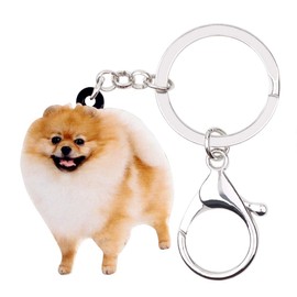 DOWAY Acrylic Fluffy Pomeranian Keychain for Women Girls Purse Handbag Charm Pet Dog Pendant, Beige-1, Medium