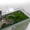 3 Gallon Glass Small Fish Tank, Betta Fish Tank Starter