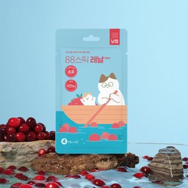 Fitpet Nyang Teacher Cat Treat | 88 Sticks Renal Care Salmon Cat 10g x 4pcs