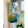 Air Plant Mini Hanging Basket 2 x 3 Inches Tall