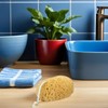 Holibanna Esponjas de Ducha Exfoliantes 2 Piezas para Mujer Esponja