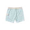 RVCA Men's Fixed Waist 16" Boardshorts - Jacobs Archive |